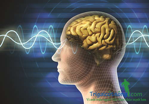 Đau đầu kinh niên - Nỗi ám ảnh của cuộc sống hiện đại Đau đầu kinh niên - Nỗi ám ảnh của cuộc sống hiện đại